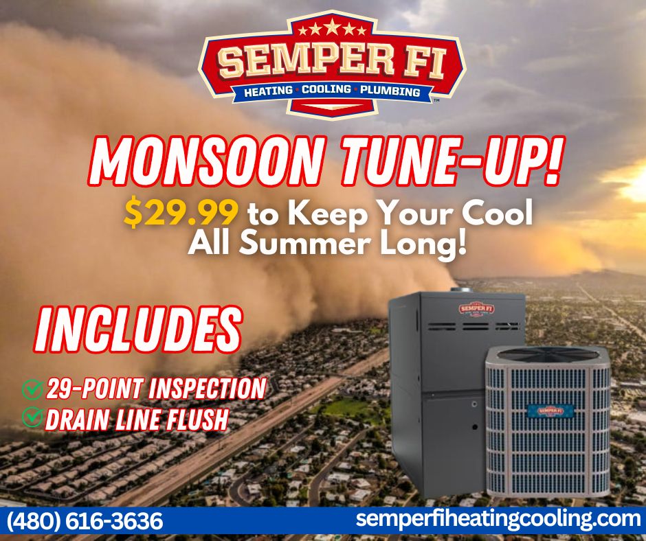 Monsoon Tune Up! (1)